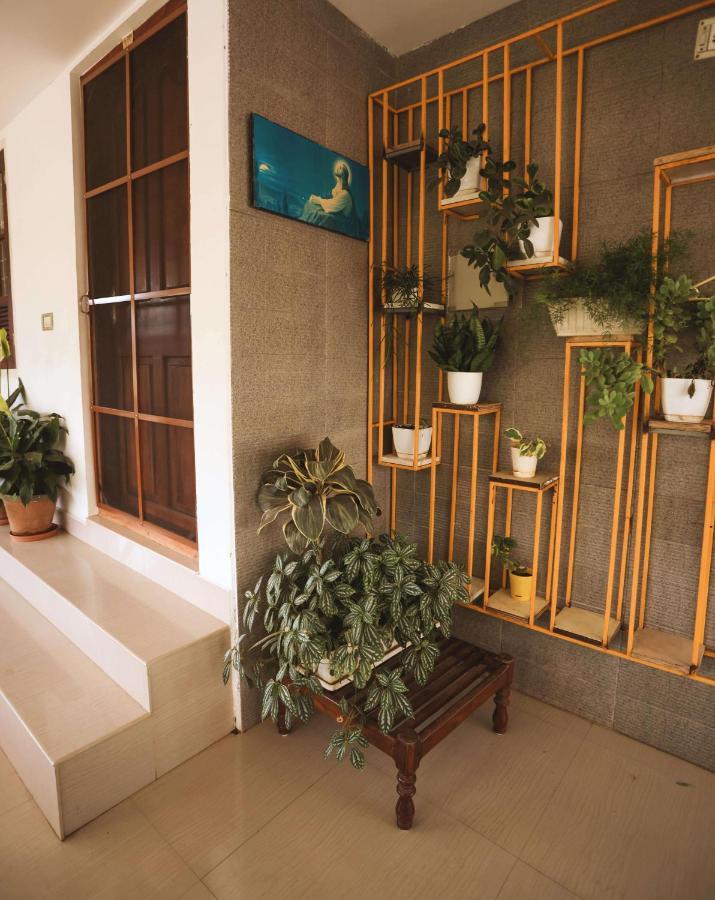 Mistygreen Homestay Thekkady Exteriér fotografie